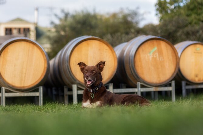 Handy Hop-On Hop-Off Wine Tour, Nelson Tasman - Additional Details