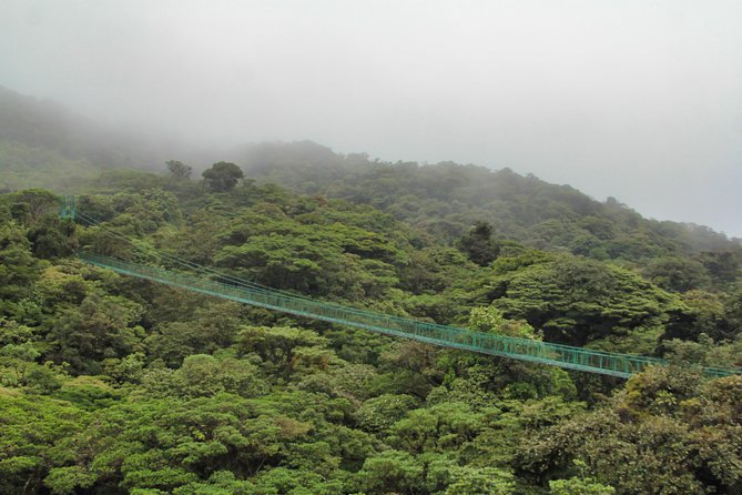 Hanging Bridges & Tour Guide From Monteverde - Exploring Monteverdes Cloud Forest Ecosystem