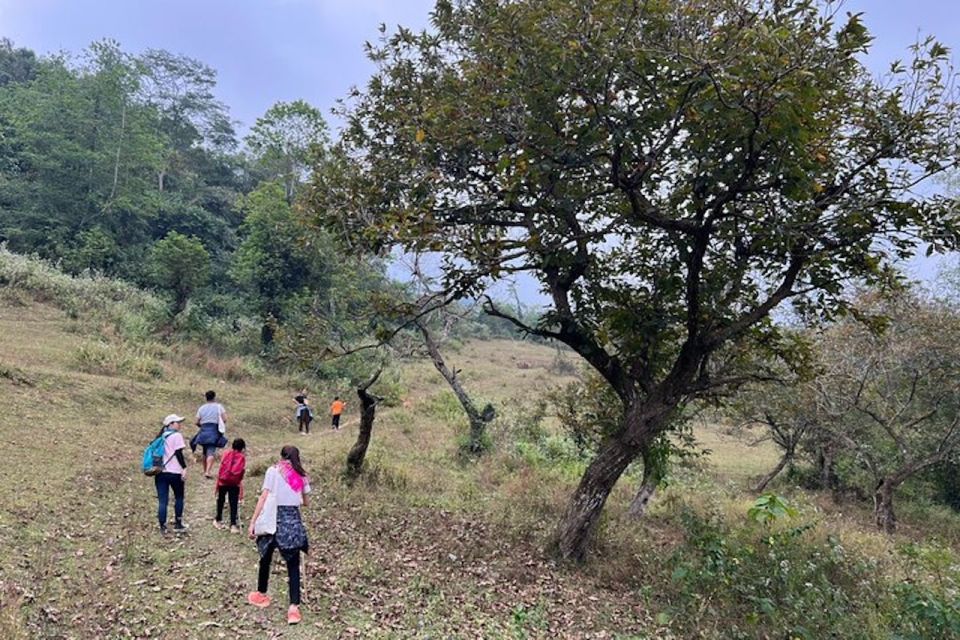 Hanoi: Ban Gioc Waterfall to Hidden Village Trekking Tour - Tour Highlights and Activities