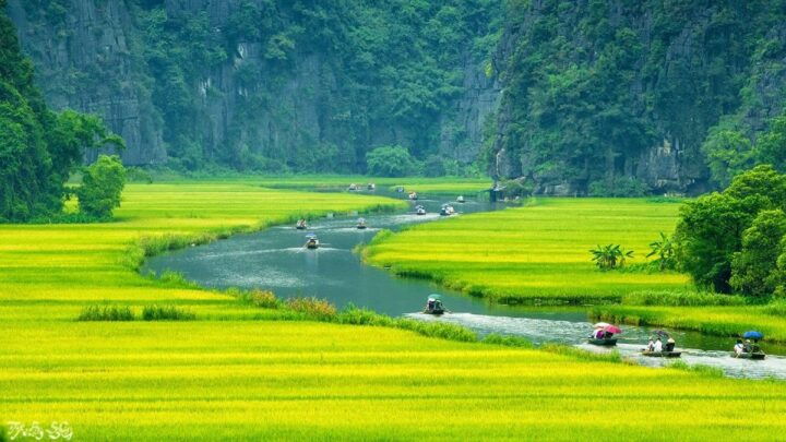 Hanoi - Hoa Lu and Tam Coc - Hanoi Full Day Tour - Tour Description