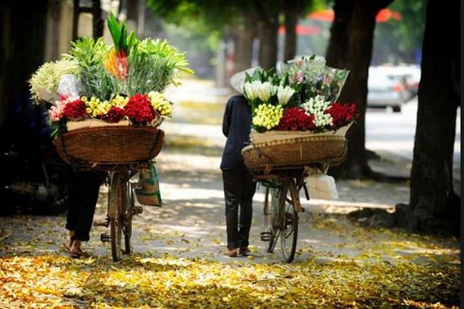 Hanoi Street Food Tour (Small Group) - Cancellation Policy