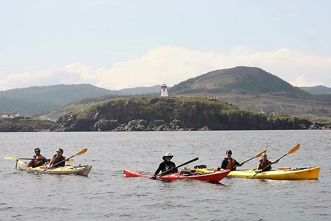 Harbour Kayak Tour - Meeting Point Information