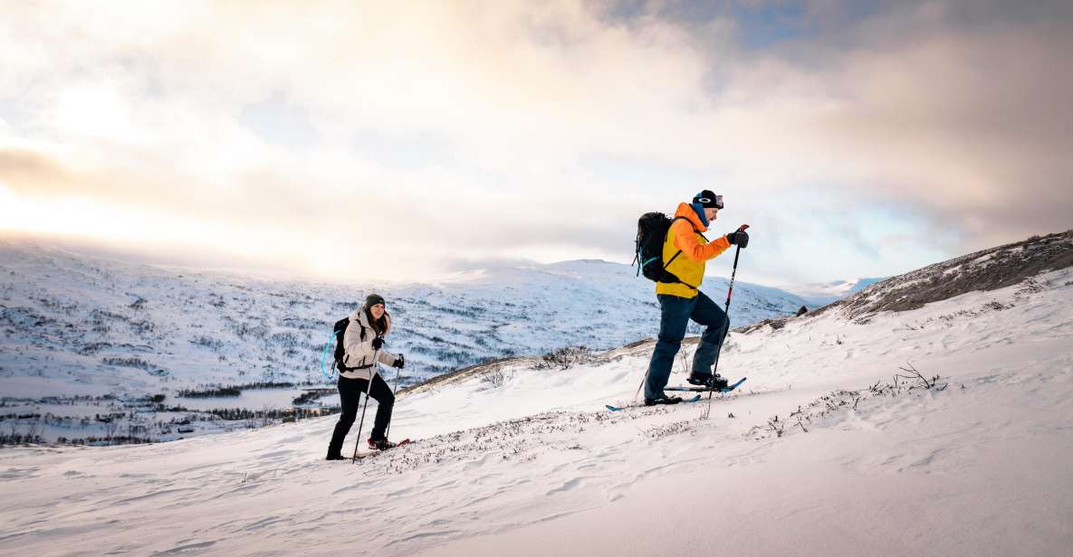 Hardangerfjord: Exclusive Snowshoe Hike With Majestic Views - Experience Highlights