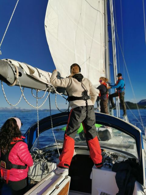 Harstad: Midnight Sun Sailing With Crew - Experience Highlights