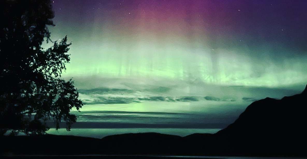 Harstad/Narvik/Tjeldsund: Northern Lights Sightseeing by Car - Experience Highlights
