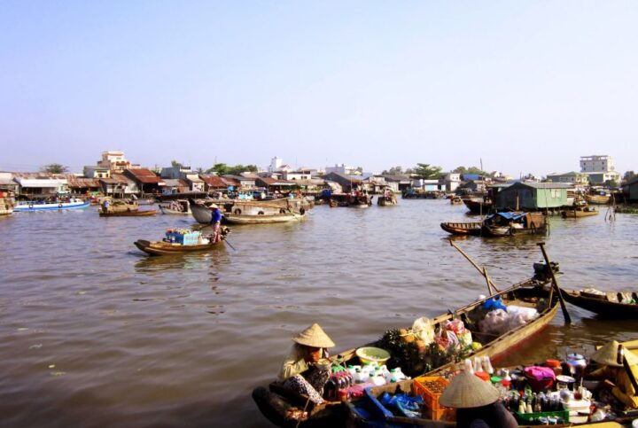 HCMC: Cai Rang Floating Market & Mekong Delta Private Tour - Experience Highlights