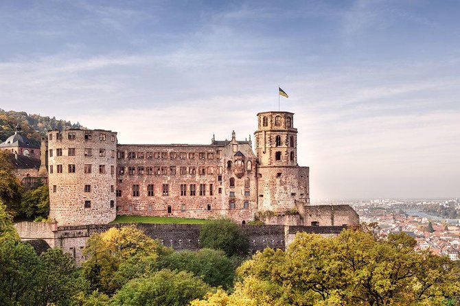 Heidelberg and Rhine Valley Day Trip With Wine Tasting and Dinner From Frankfurt - Tour Inclusions