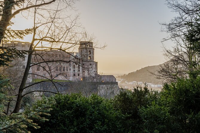 Heidelberg Castle and City Day Tour From Frankfurt - Tour Guide and Transportation