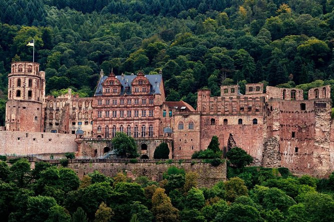 Heidelberg Public Walking Tour With A Professional Guide - Tour Overview Highlights