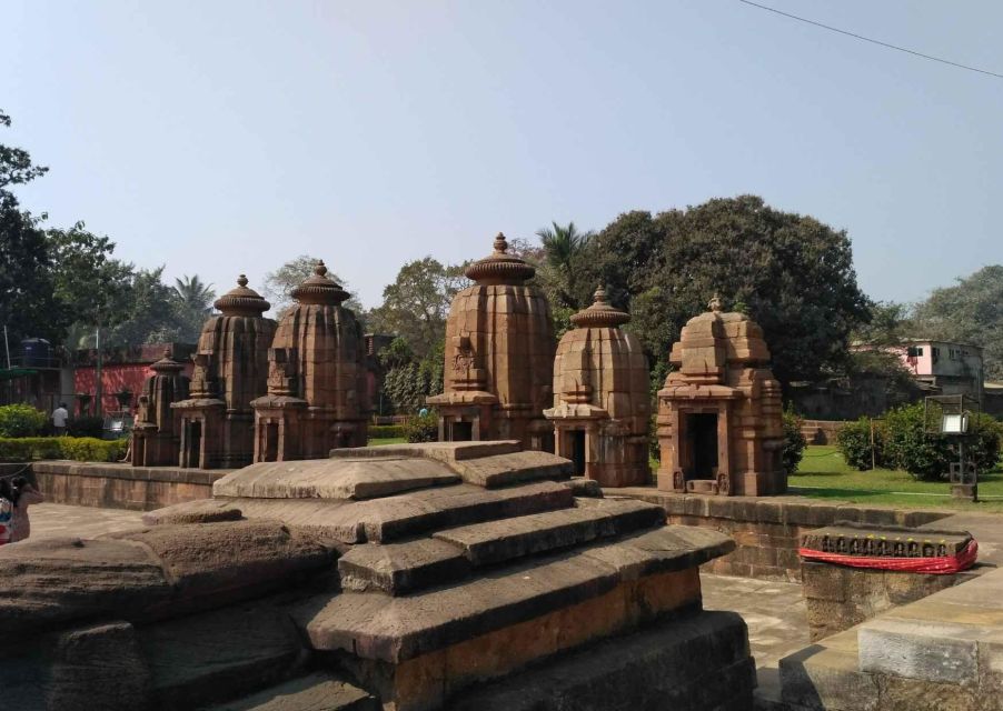 Heritage & Cultural Walk of Bhubaneswar (2 Hours Guided Walk - Experience Highlights and Starting Point