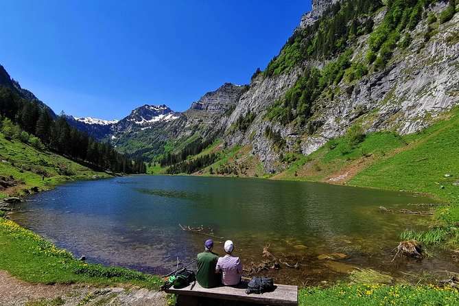 Hidden Switzerland: Private Hike With Lunch (Mar ) - Expert-Guided Environmental Exploration