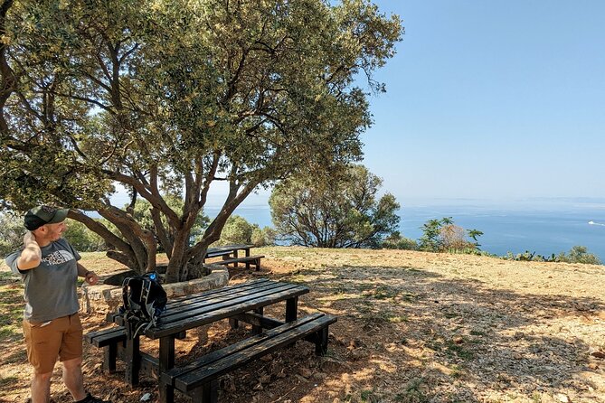 Hike and Panoramic Lunch in Nice - Inclusions and Logistics