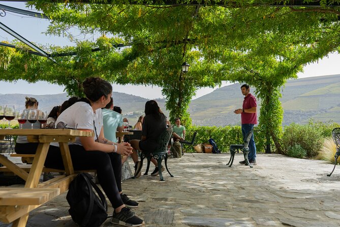 HIKE at DOURO VALLEY W/ Winery Visit and Tasting - Pricing Information