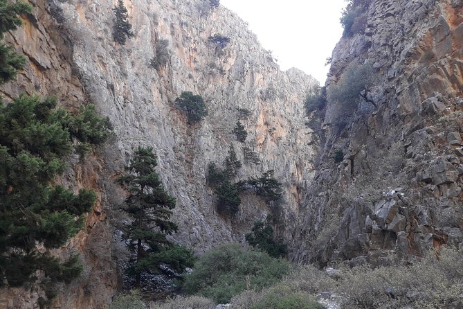 Hike Imbros Gorge and Beach Private Tour (Price per Group of 6) - Meeting and Pickup Details