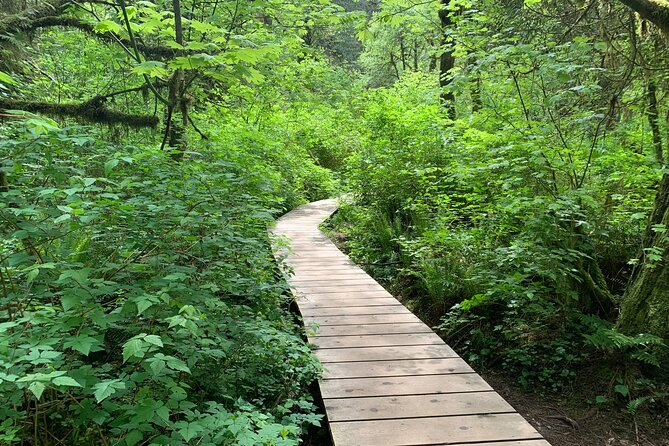 Hike Lynn Canyon and Bike Seymour Demonstration Forest - Twin Falls