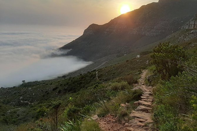 Hike Table Mountain Sunrise via Platteklip Gorge Morning Tour - Meeting and Pickup Information