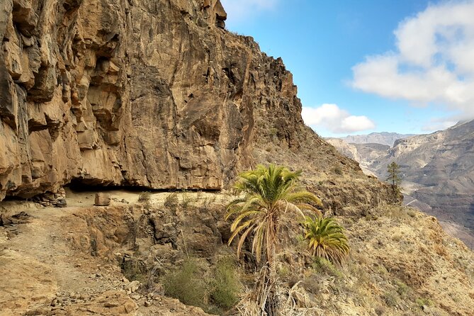 Hiking Experience in the North of Gran Canaria - Weather Conditions and Recommendations