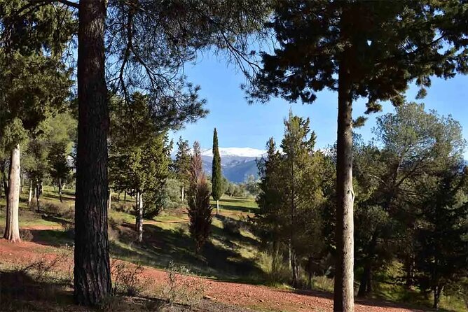 Hiking in the Natural Park on the Outskirts of the Alhambra - Scenic Views Along the Hike