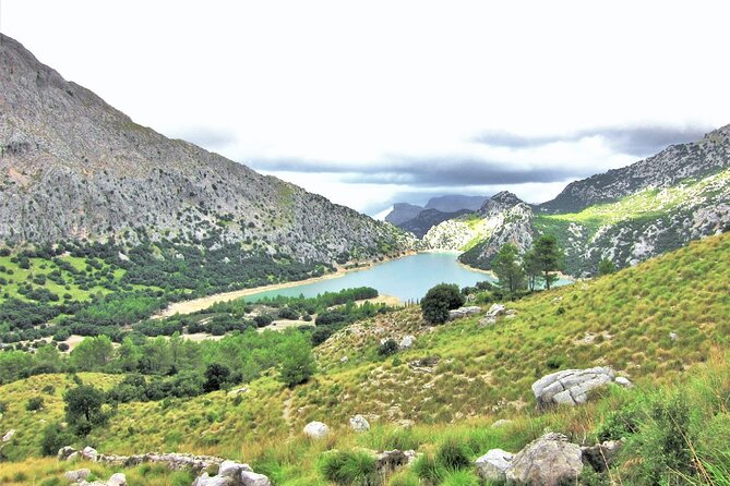 Hiking Private Tour in Pollensa - Booking Information