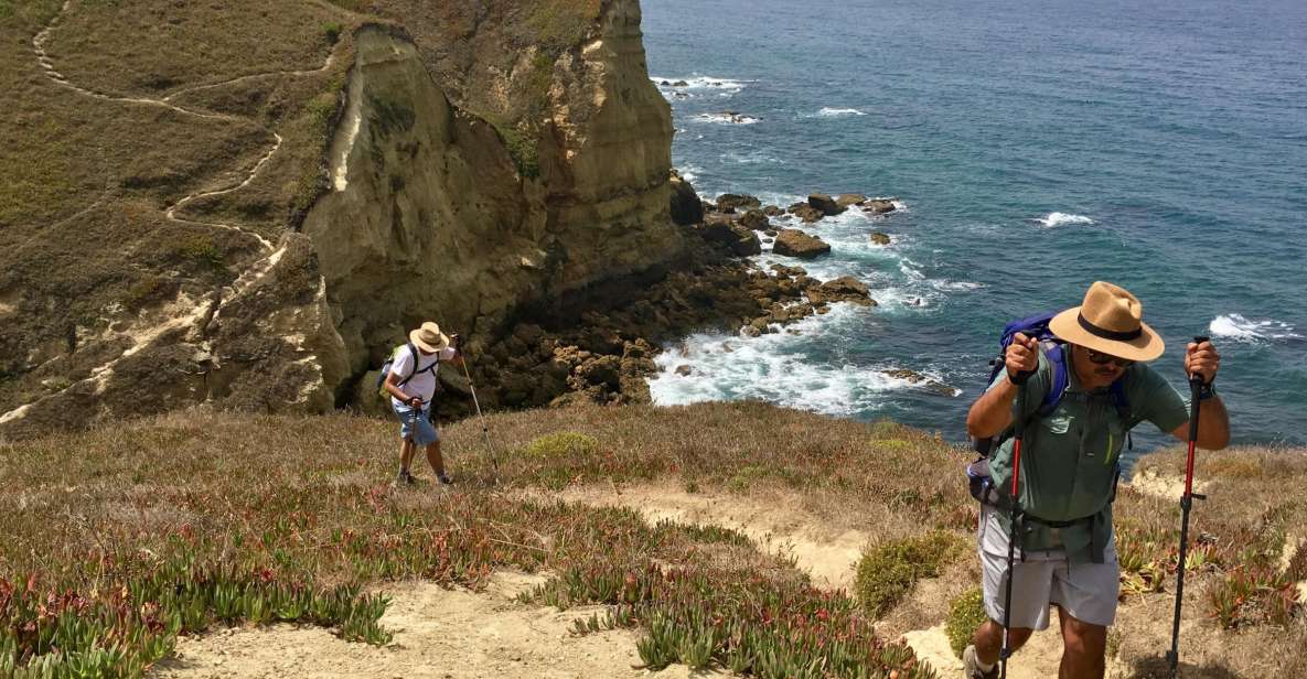 Hiking Tour Along the West Coastline - Booking Details and Flexibility