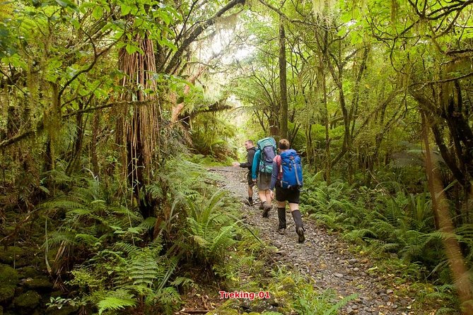 Hiking Trekking & Temple Stay 12days 11nights - Inclusions and Exclusions