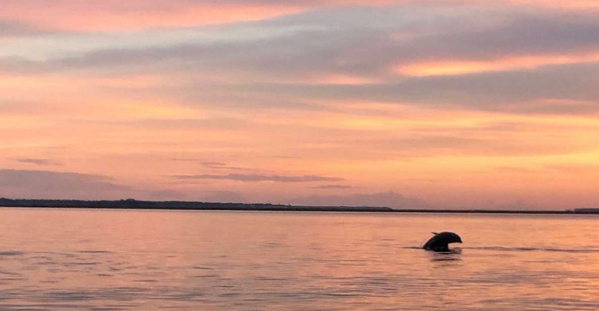 Hilton Head Island: Sunset Dolphin Watching Tour - Booking Information