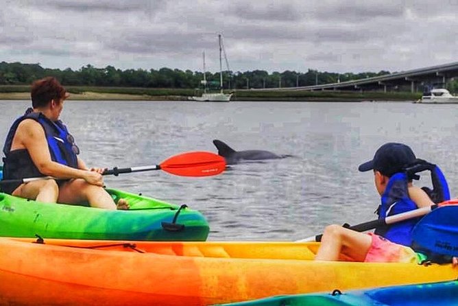Hilton Head Morning Kayaking & Coffee Guided Tour - Tour Highlights