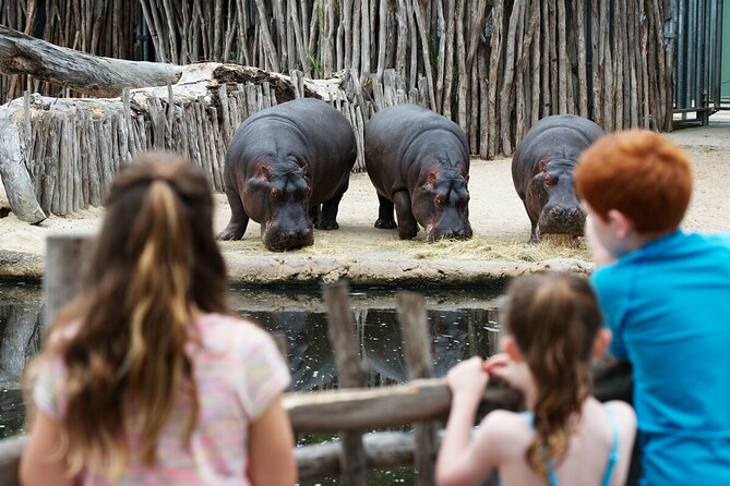 Hippo Experience at Werribee Open Range Zoo - Excl. Entry - Inclusions