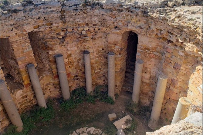 Historical Tour of Ancient Carthage & Sidi Bou Said - Ancient Carthage Exploration