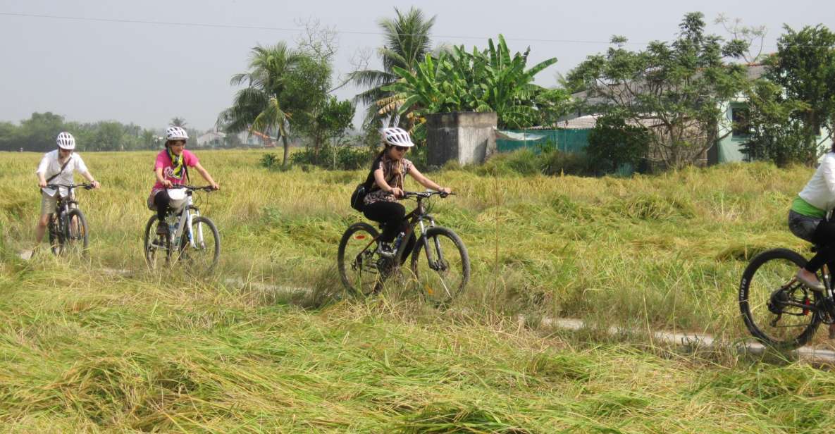 Ho Chi Minh: Countryside Half–Day Bike Tour - Experience Highlights