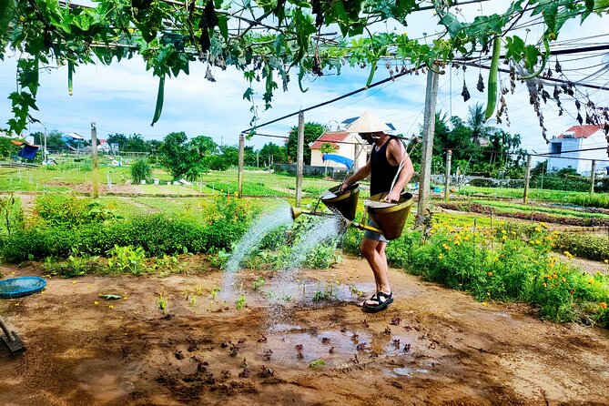 Hoi an Countryside Cycling Tour - Itinerary Details