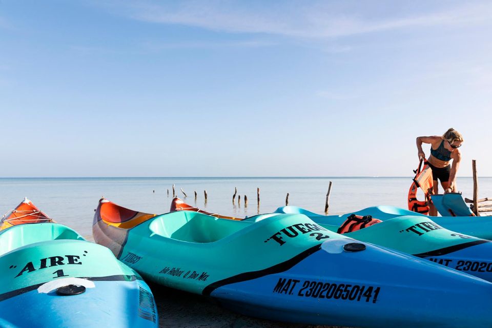 Holbox: Guided Kayaking Through Holbox's Mangroves - Activity Highlights