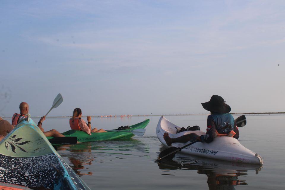 Holbox: Guided Sunrise Kayak Tour Through Mangrove Reserve - Experience Highlights