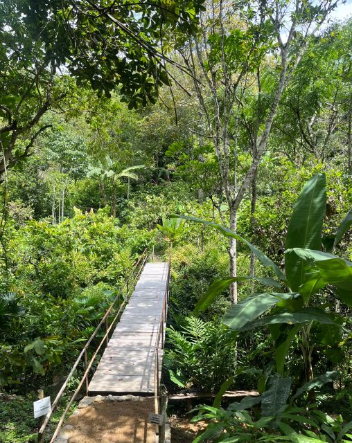 Holistic Retreat ; Cacao Cermony and Cacao Trail - Immersive Activities Offered