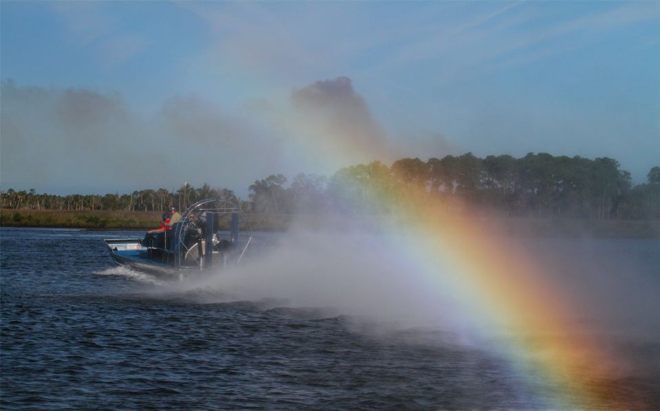 Homosassa: Gulf of Mexico Airboat Ride and Dolphin Watching - Experience Highlights