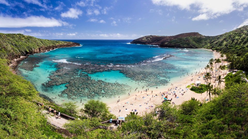 Honolulu: Hanauma Bay State Park Snorkeling Trip - Experience Highlights