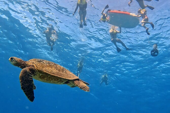 Honolulu Maunalua Bay Snorkel Tour  - Oahu - Logistics