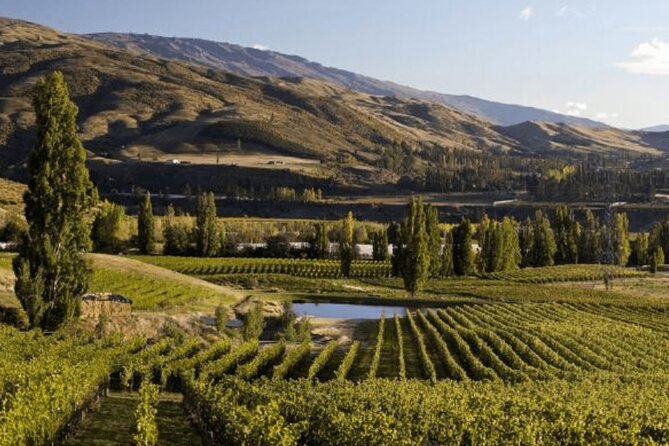 Hop on Hop off Wine Tours Bannockburn - Departing Queenstown - Departure Schedule