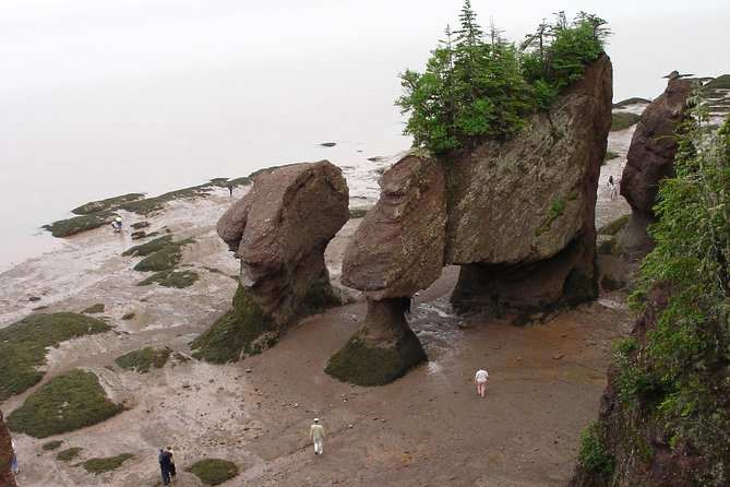 Hopewell Rocks Admission - Booking Information