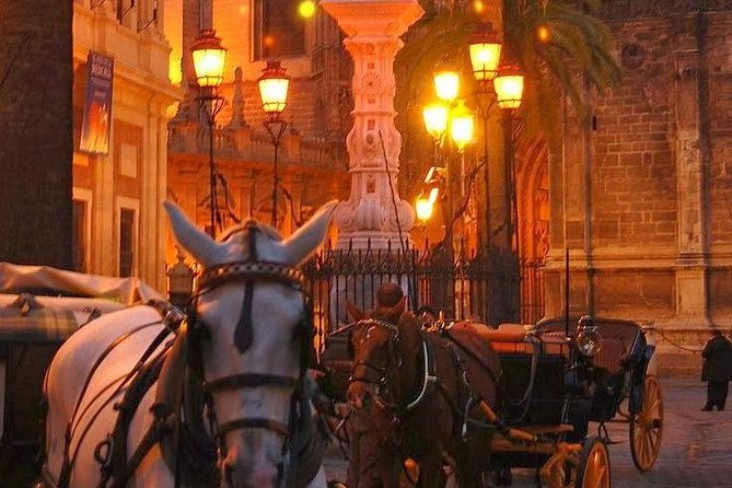 Horse and Buggy Ride in Seville With Guide - Support Contact Information