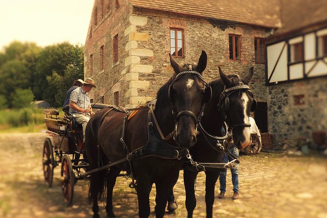 Horse and Carriage Tours With Polish Traditional Food Experience - Traditional Polish Food Inclusions