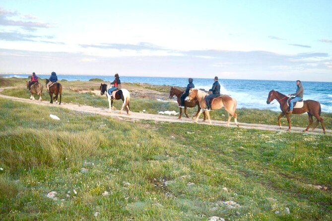 Horse Ride in a Salento Nature Reserve With Transfer From Lecce - Accessibility Information