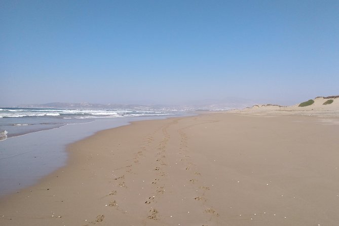 Horse Riding in Agadir National Park - Logistics and Meeting Point