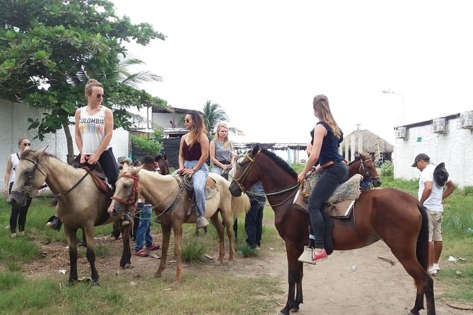 Horse Riding in Cartagena - What To Expect During the Ride