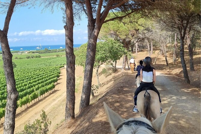 Horse Riding in the Vineyards of Ramatuelle Wine Tasting - Logistics