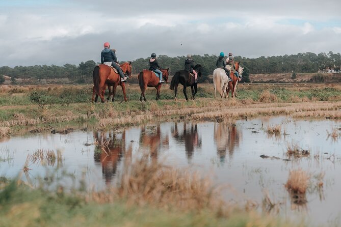 Horse Riding on the Beach With Private Transfer From Lisbon - Insights From Customer Reviews