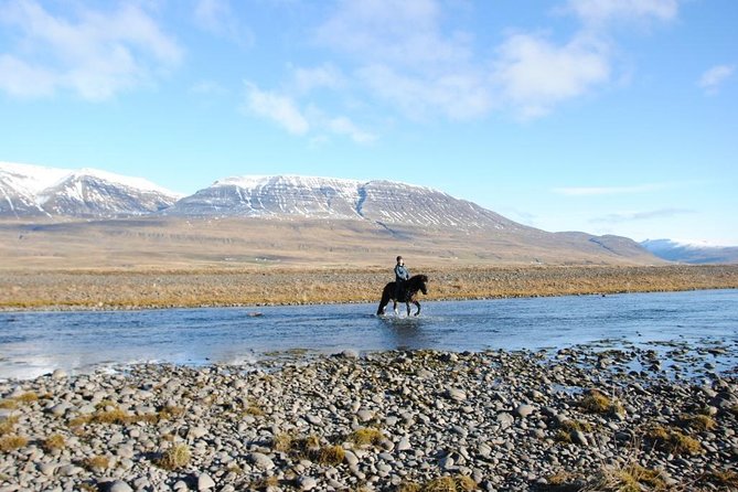 Horse Riding Tour to the Glacier River Delta With Waterfall - Meeting Point and Logistics