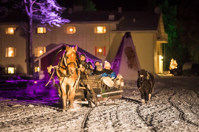 Horse Sleigh Ride Under The Night Sky in Apukka Resort, Rovaniemi - Start Time and End Point Details