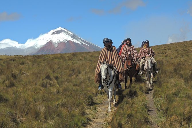 Horseback Riding and Cotopaxi National Park Day Trip - Convenient Hotel Pickup and Drop-off