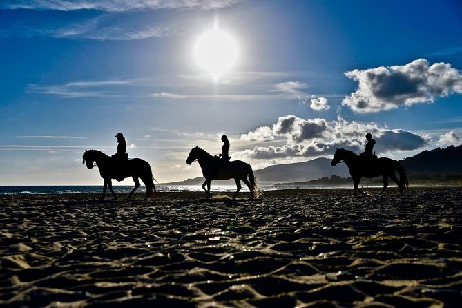 Horseback Riding by the Beach or Mountain in Tarifa, Spain - 1 to 2 Hrs - Cancellation Policy